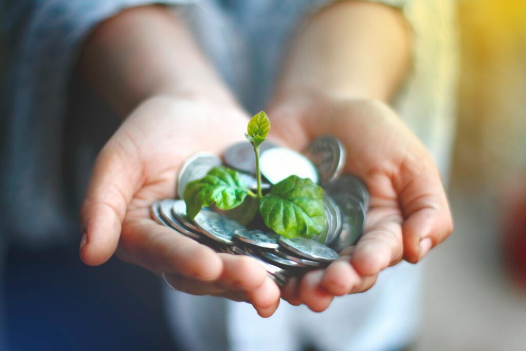 affordable marketing solutions